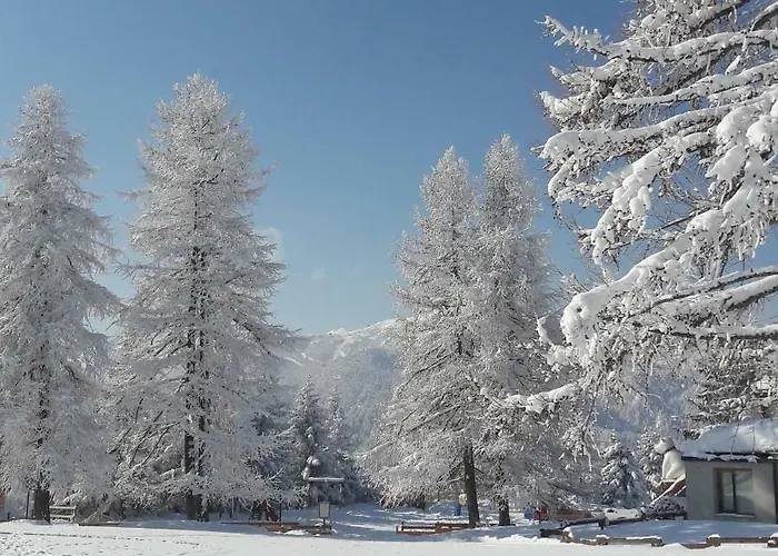 Bilocale Fronte Piste - Appartamentiflarida Sansicario Alto *